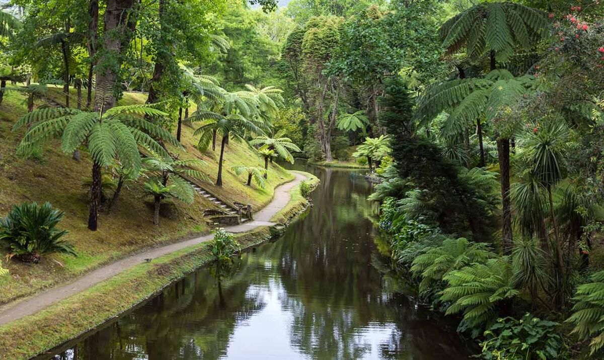 Terra Nostra park, Sao Miguel Iskand, Azores