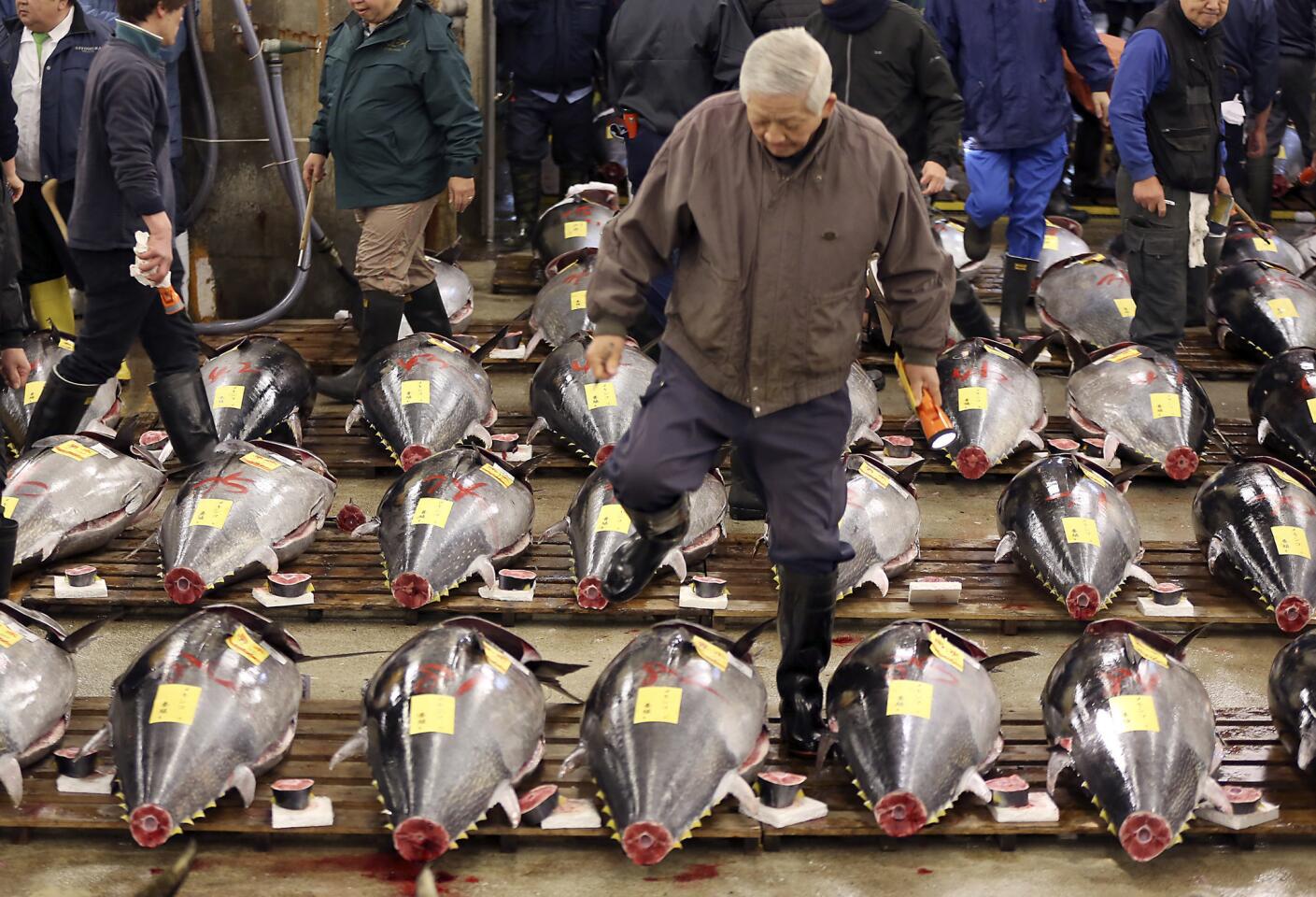 Relocation of the Tsukiji Fish Market