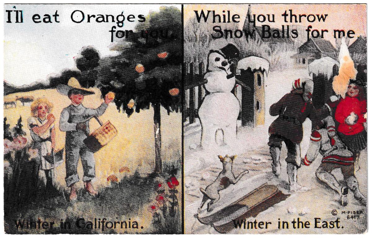 An undated postcard contrasts sunny winter in California, with people picking fruit, with snowy winter in the East.