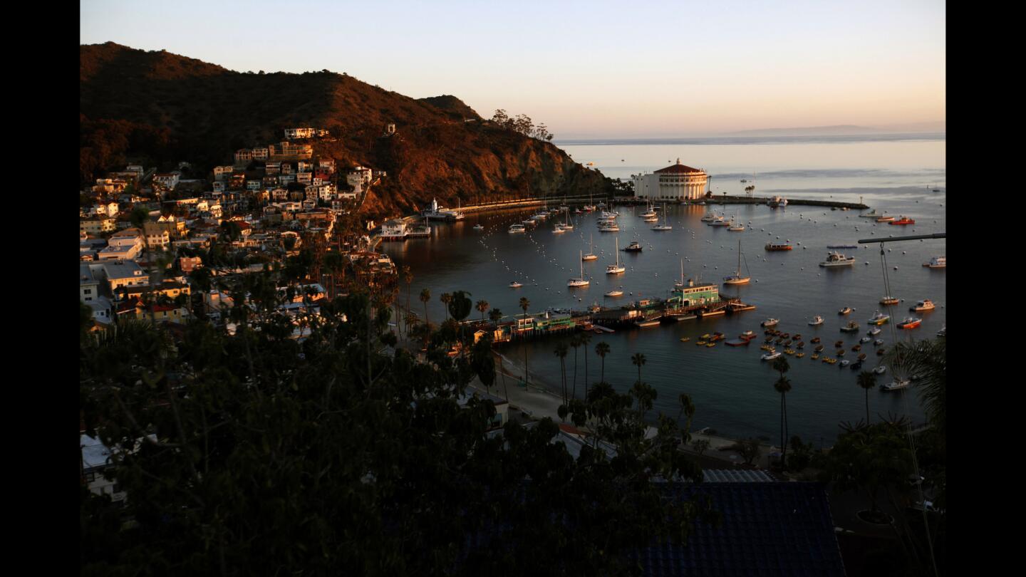 Avalon on Catalina, where ratepayers must reduce their water consumption.