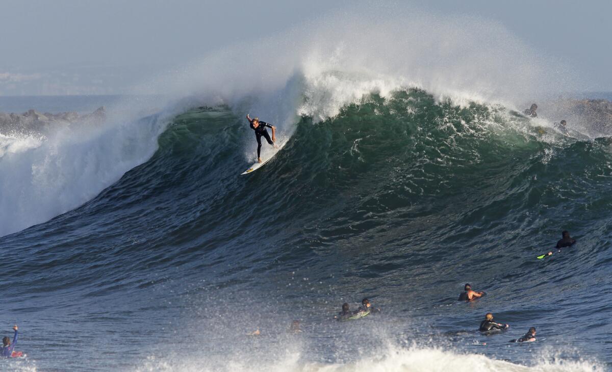 Newport's Bobby Okvist charges a set wave at the Wedge recently. Bodysurfers want their time in the water too.