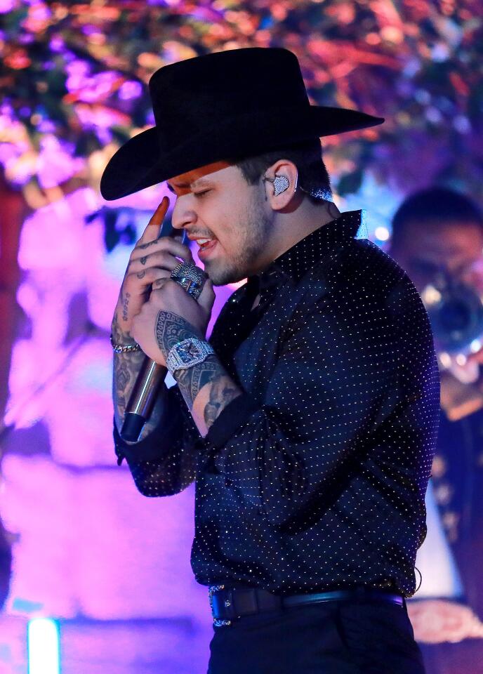 The 21st Annual Latin GRAMMY Awards - Show