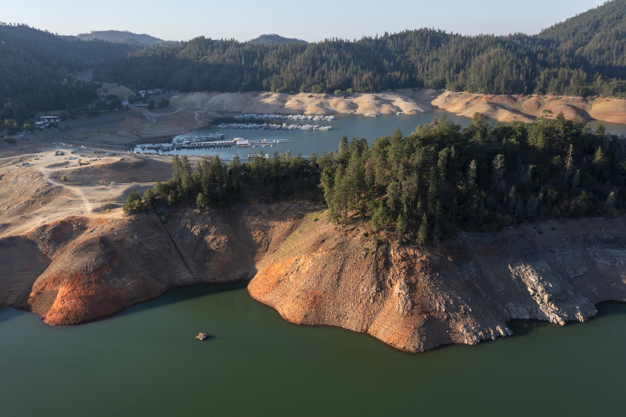 Lake Shasta, the state’s largest surface water reservoir, was at 50% of capacity in March. It's at 38% now.