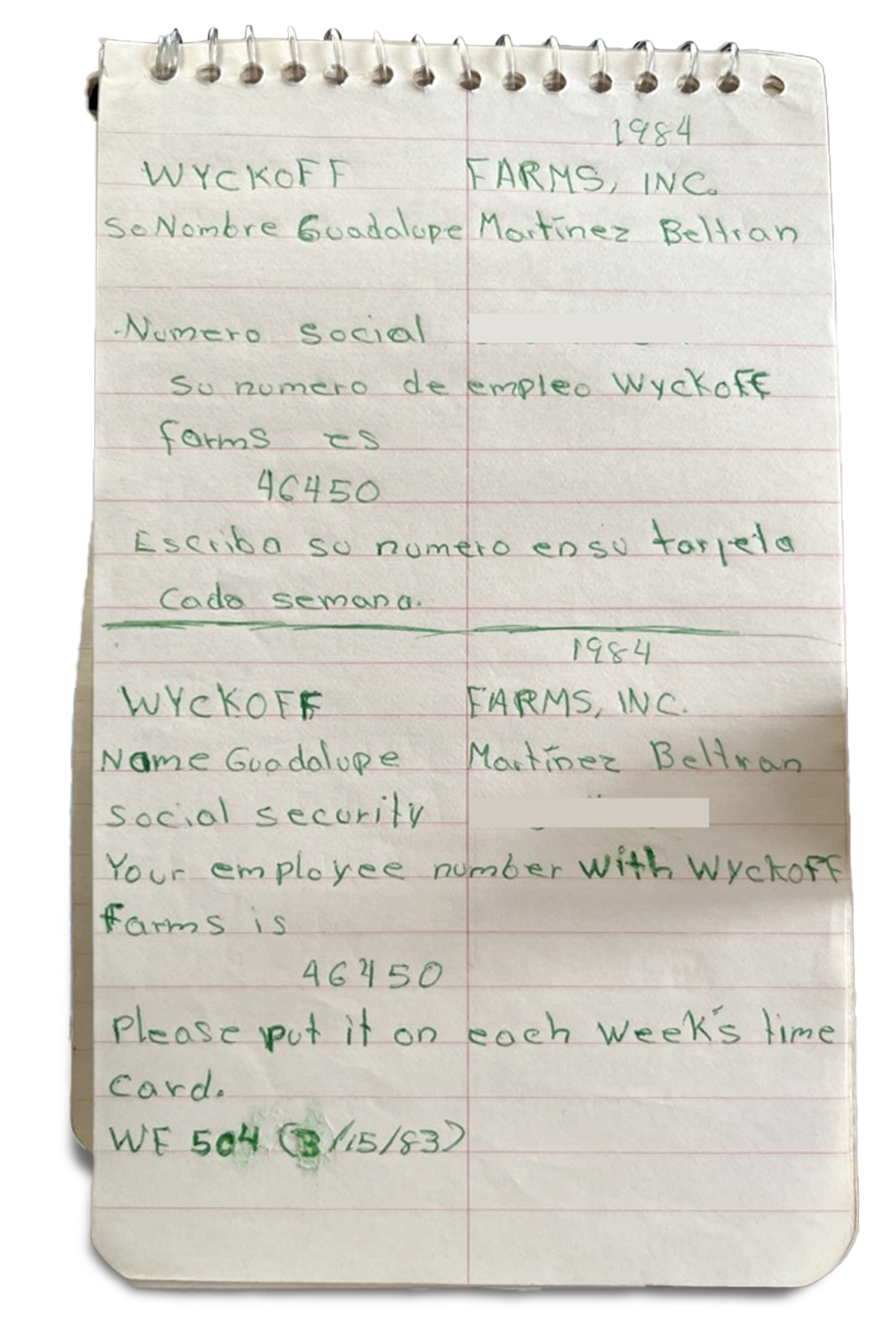 Handwritten notes in Spanish and English. "Wyckoff Farms Inc. 1984"