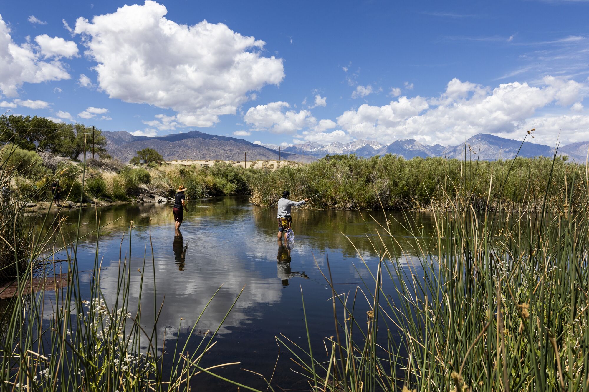 Fly fisherman wade in a river