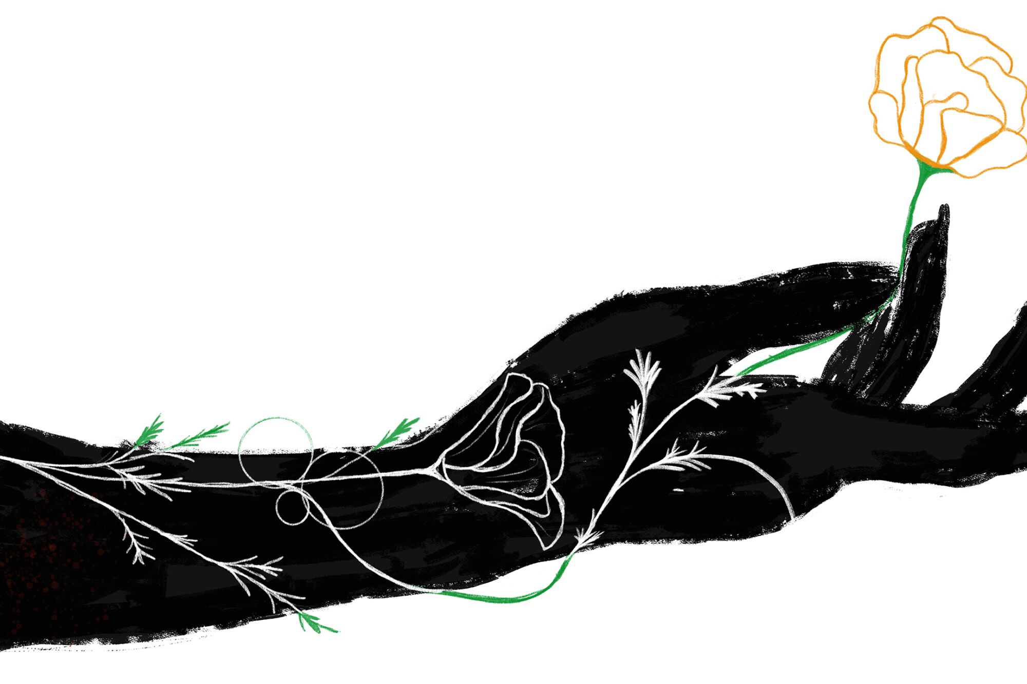 Best Plant Tattoos By Los Angeles Tattoo Artists Los Angeles Times Best Plant Tattoos By Los Angeles Tattoo Artists Los Angeles Times