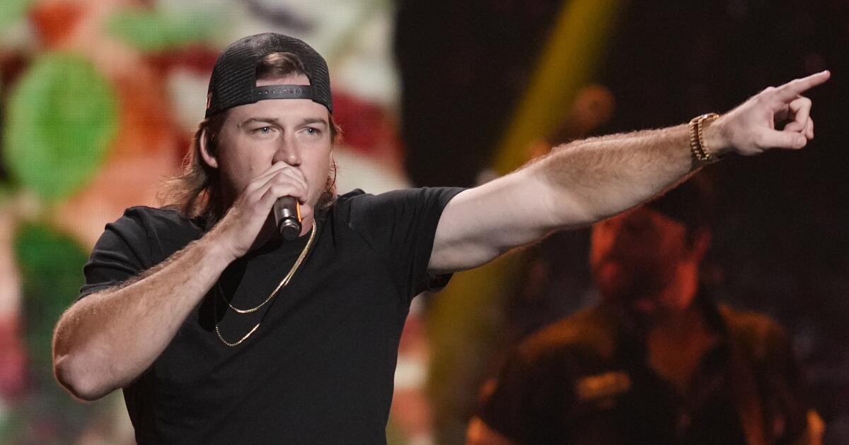 Nashville council rejects Morgan Wallen’s bar indication in excess of singer’s questionable actions