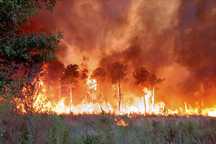 This photo provided Friday July 15, 2022 by the fire brigade of the Gironde region (SDIS 33) shows a wildfire near Landiras, southwestern France, Thursday, July 14, 2022. Several hundred firefighters struggled Friday to contain two wildfires in the Bordeaux region of southwest France that have forced the evacuation of 10,000 people and ravaged more than 7,000 hectares of land. High temperatures and strong winds have complicated firefighting efforts in the region, one of several around Europe scorched by wildfires this season. (SDIS 33 via AP)