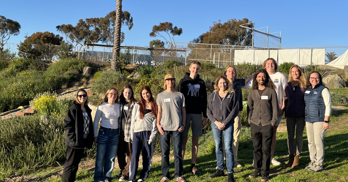 Landscape design students learn by building their own path on San Dieguito campus