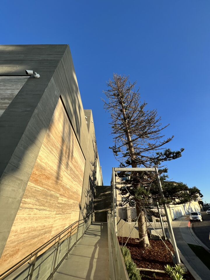 Italian travertine lines parts of MCASD's exterior in La Jolla, along with a relocated tree.