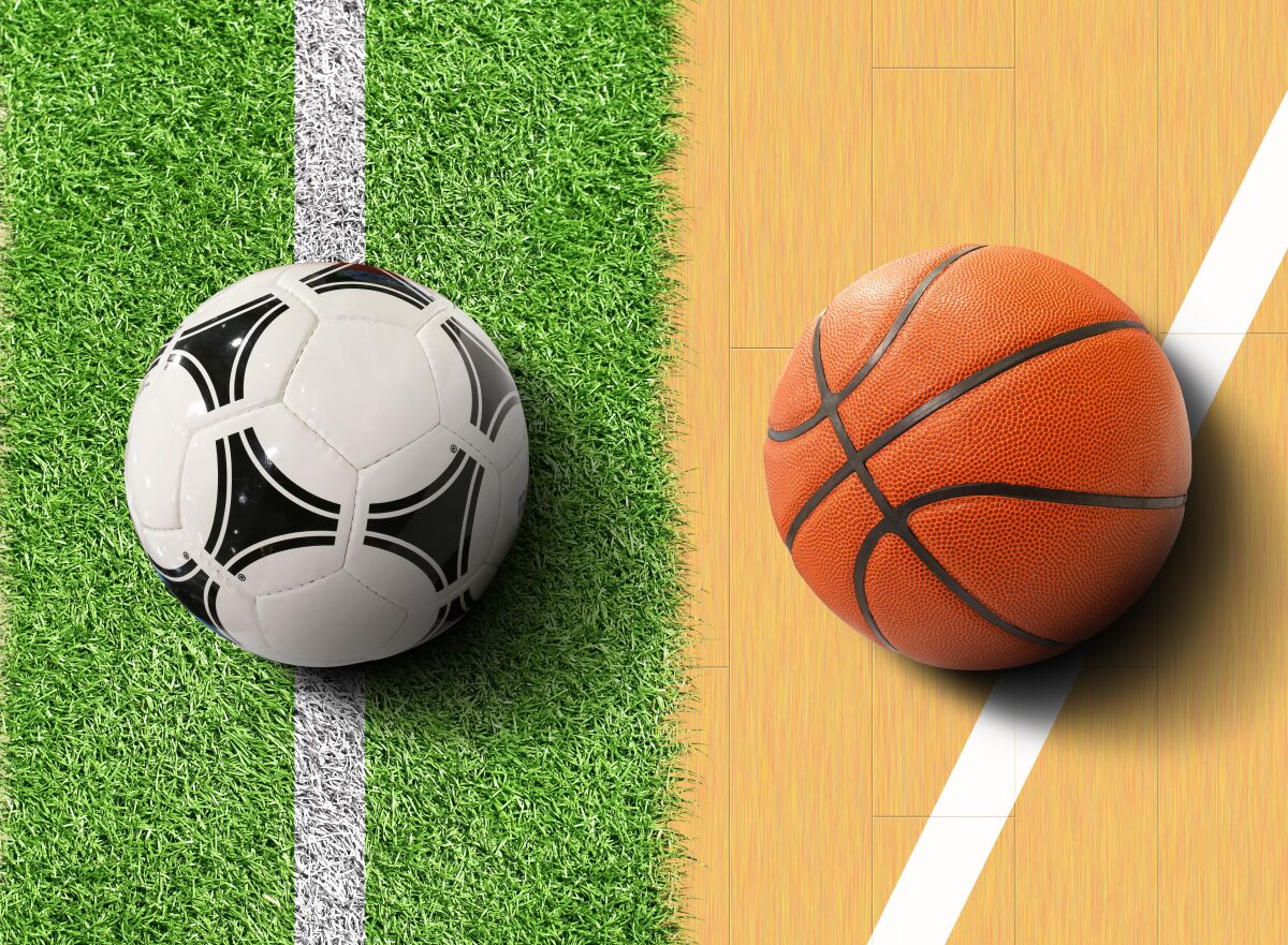 Soccer ball and basketball