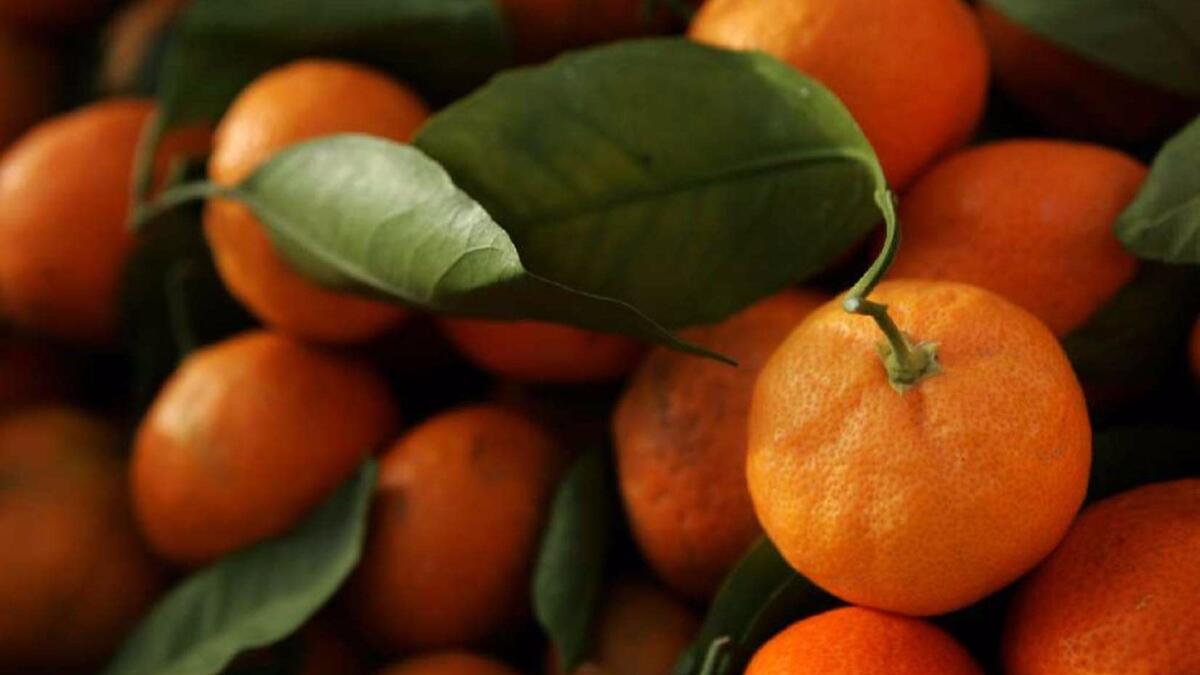 Satsuma oranges.