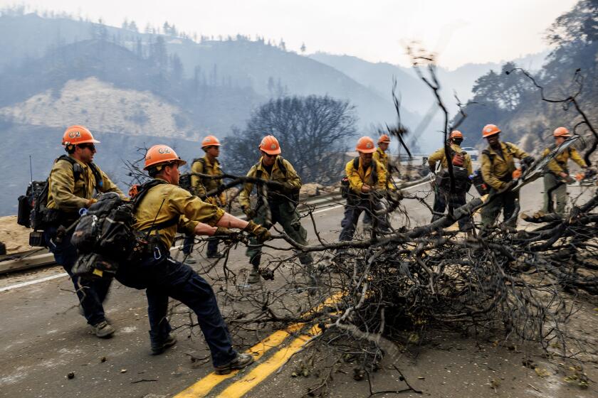 HIGHLAND, CA - SEPTEMBER 8, 2024: Fire crews from Orange County use chainsaws and man power to remove a large burned tree branch which had fallen across Highway 330 during the Line fire on September 8, 2024 in Highland, California. (Gina Ferazzi / Los Angeles Times)