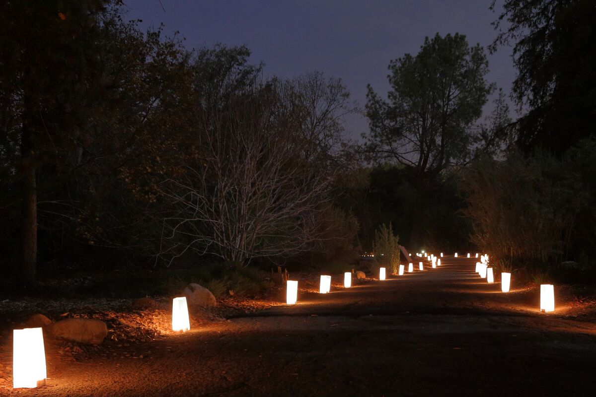 Lighted trail