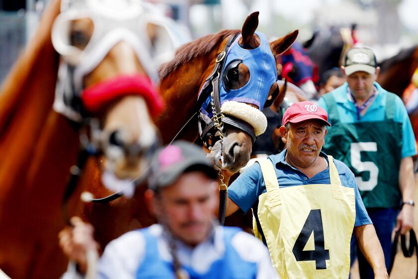 LOS ALAMITOS, CALIF. - JUNE 29, 2019. Handlers parade race horses before the third race at the Los Alamitos Race Course.