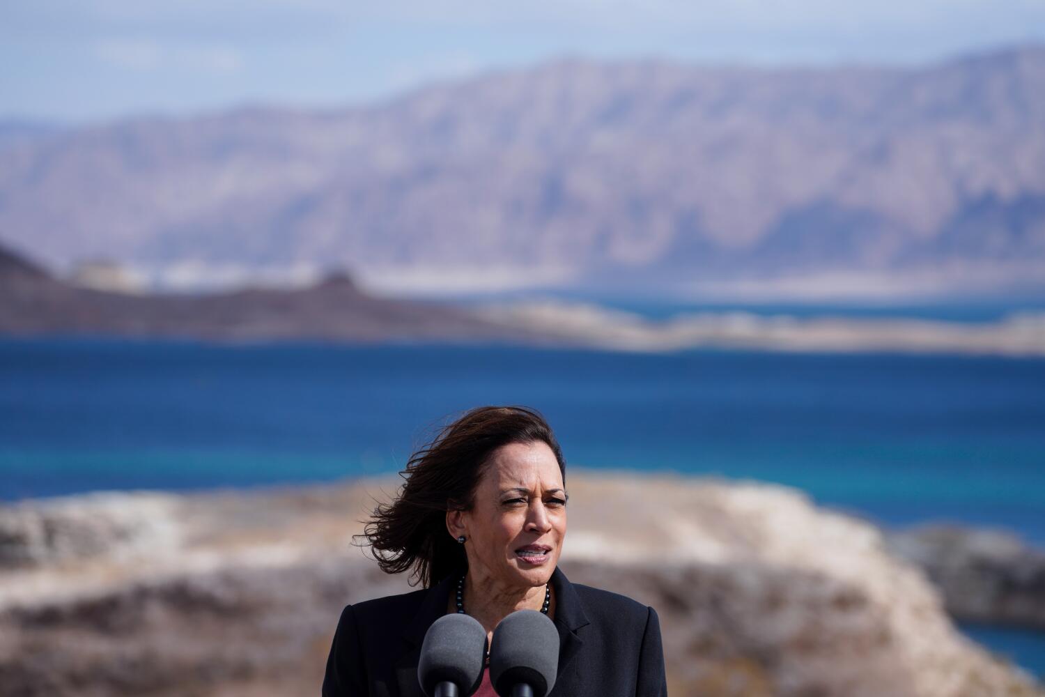 Environmental groups 'ecstatic' over Kamala Harris' candidacy and California climate record