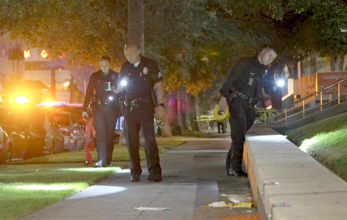 Police officers with flashlights look at a sidewalk and planter area