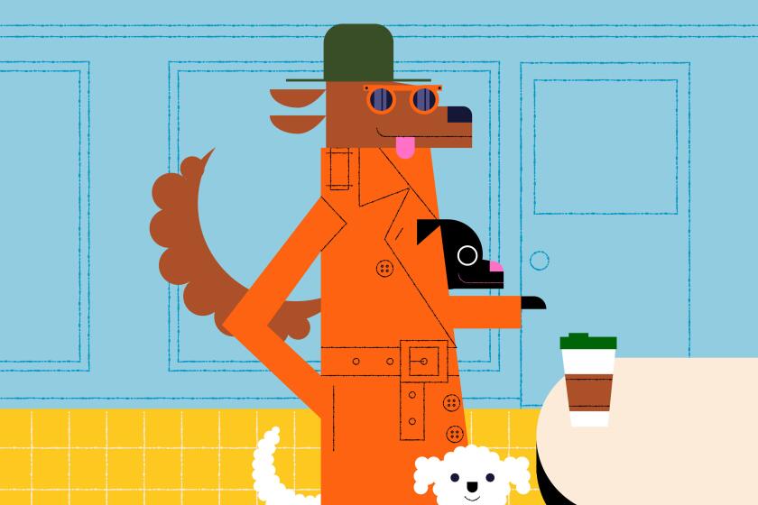 Three dogs in a disguise ordering coffee