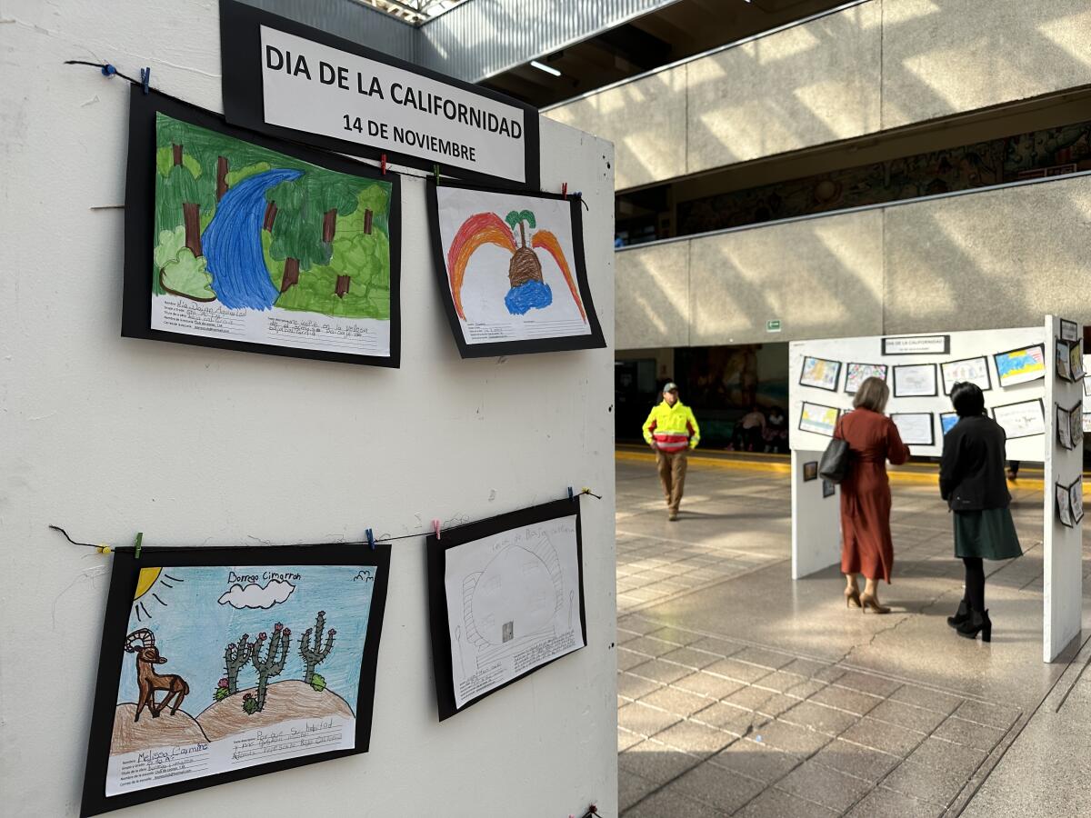 Exhibición de arte infantil en el Palacio Municipal de Tijuana con motivo del Día de la Californidad.