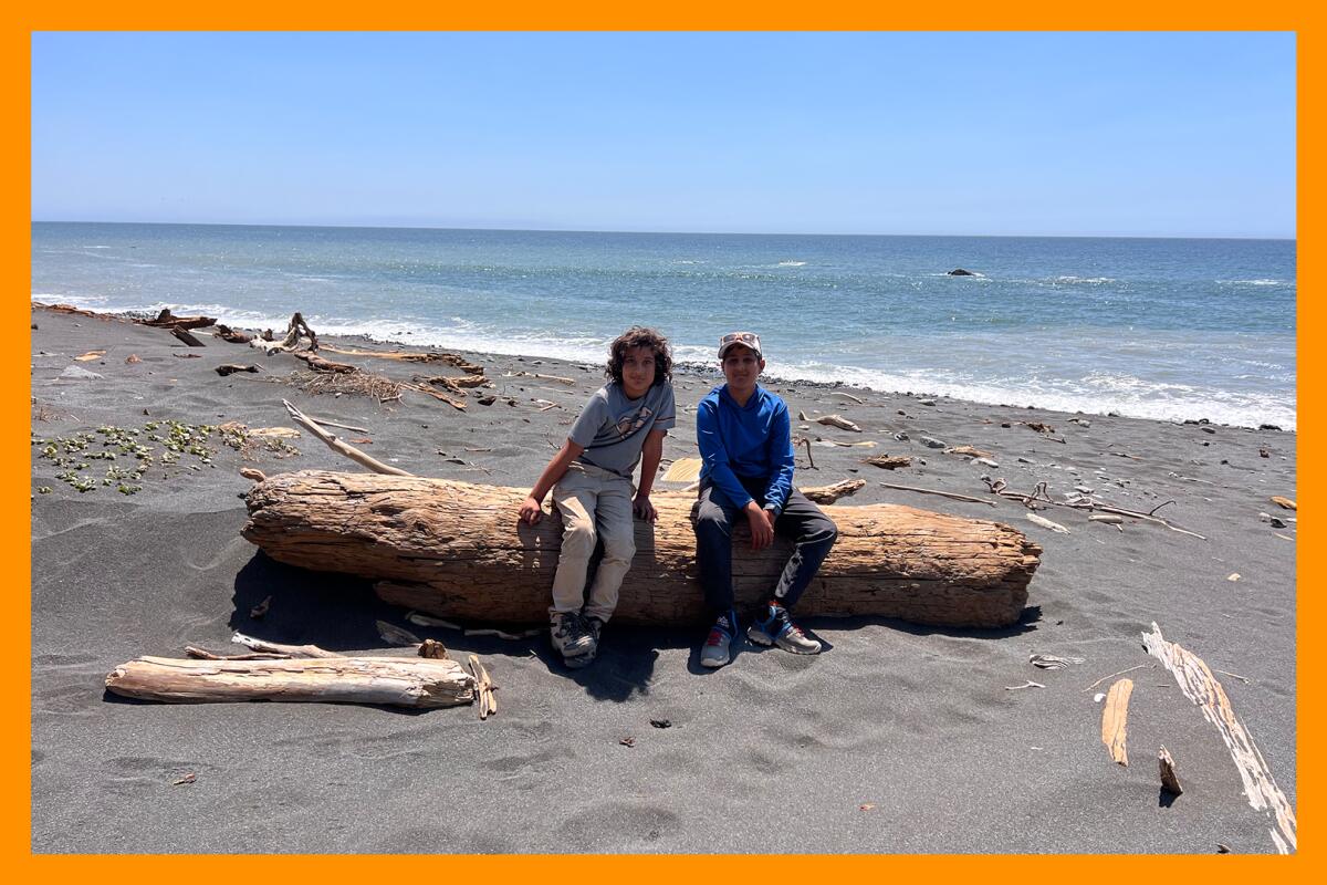 Two boys sit on a log on a beach with the ocean behind them