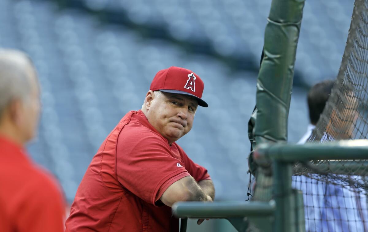 Will longtime Angels Manager Mike Scioscia be part of the team's plans in 2014? Scioscia still has five years left on his current contract.