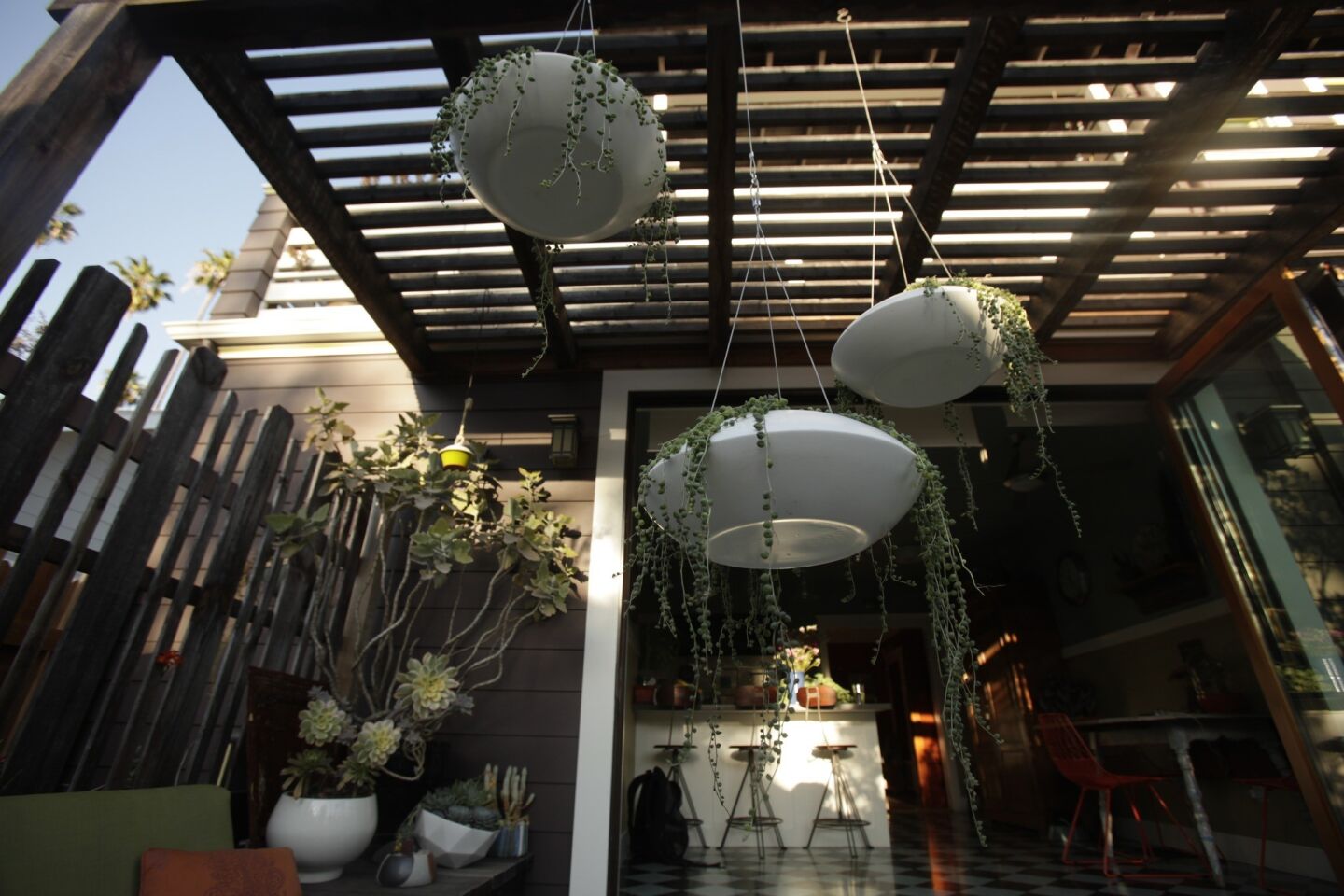 Succulents called string of pearls spill out of the ceramic Orbit hanging planters from Gutierrez's store.