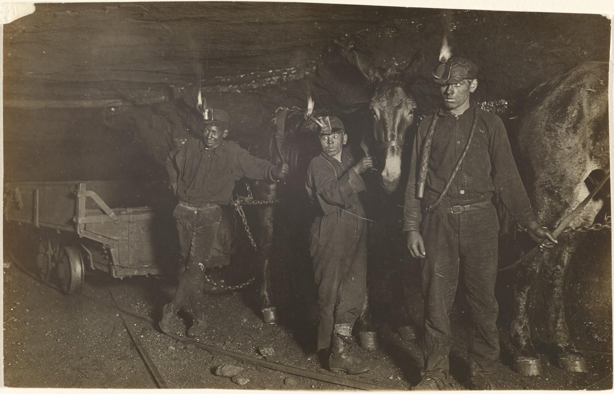"Three young ember miners, with mules; Pennsylvania," 1908; gelatin metallic print.