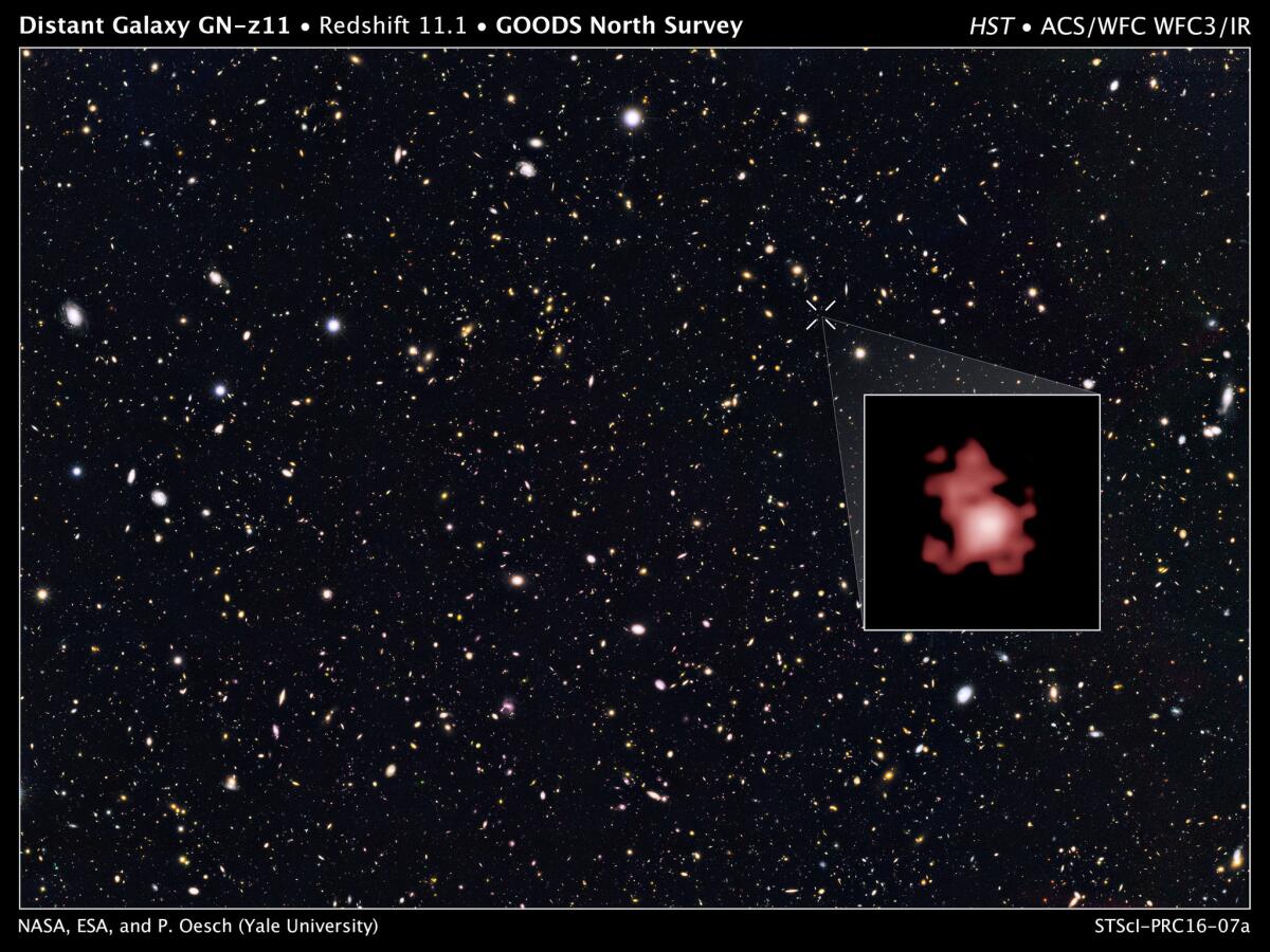 Esta imagen suministrada por el Instituto Científico del Telescopio Espacial Hubble, muestra la ganaxia más lejana detectada hasta ahora, según se informó el 3 de marzo del 2016. (Space Telescope Science Institute via AP)