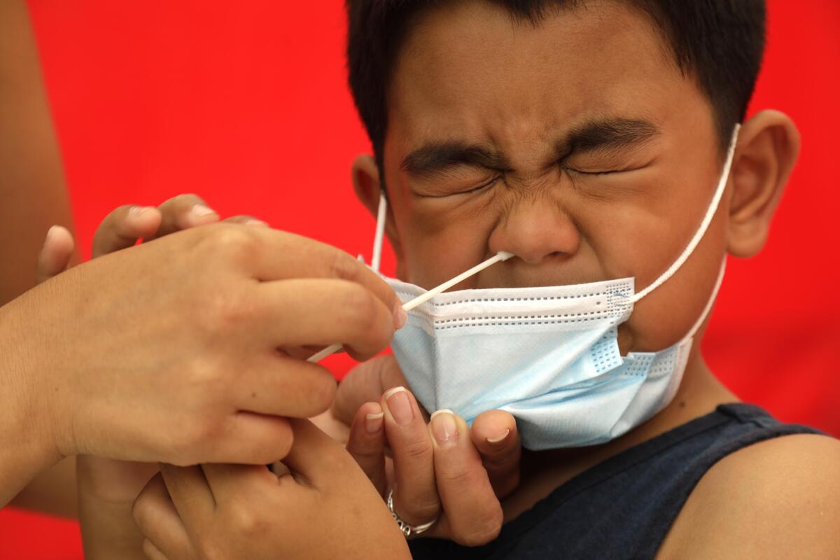  6-year-old boy gets a nasal swab coronavirus test at school. 
