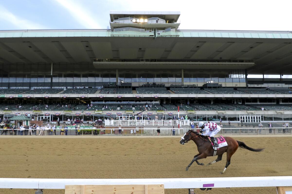 a horse runs on a track