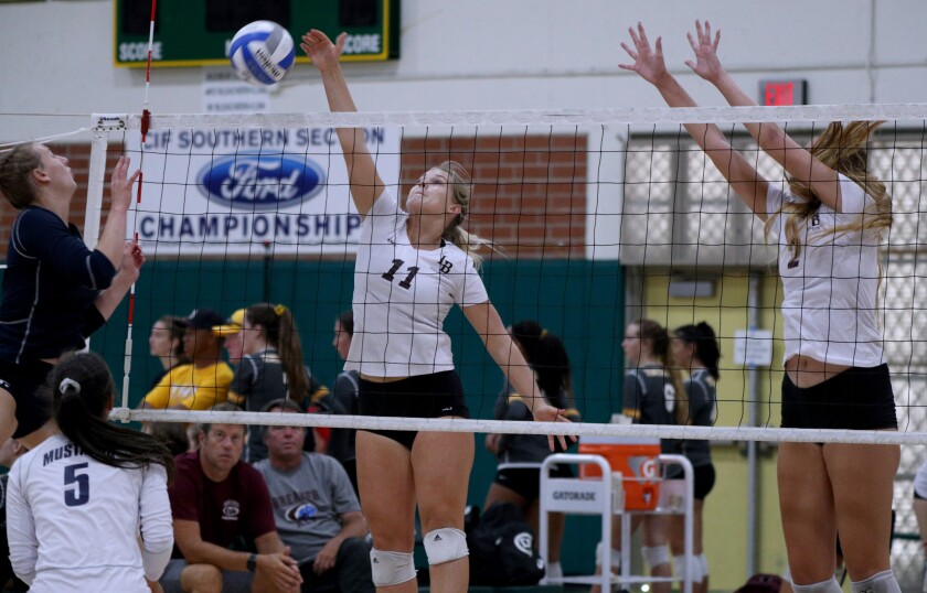 tn-dpt-sp-hb-dave-mohs-volleyball-20190907-8