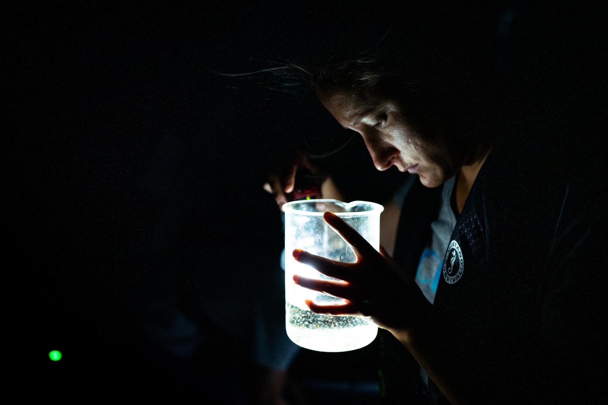 Katie Senft, associate specialist for the UC Davis Tahoe Environmental Research Center, counts mysis shrimp collected in Lake Tahoe near Tahoe City, Calif.