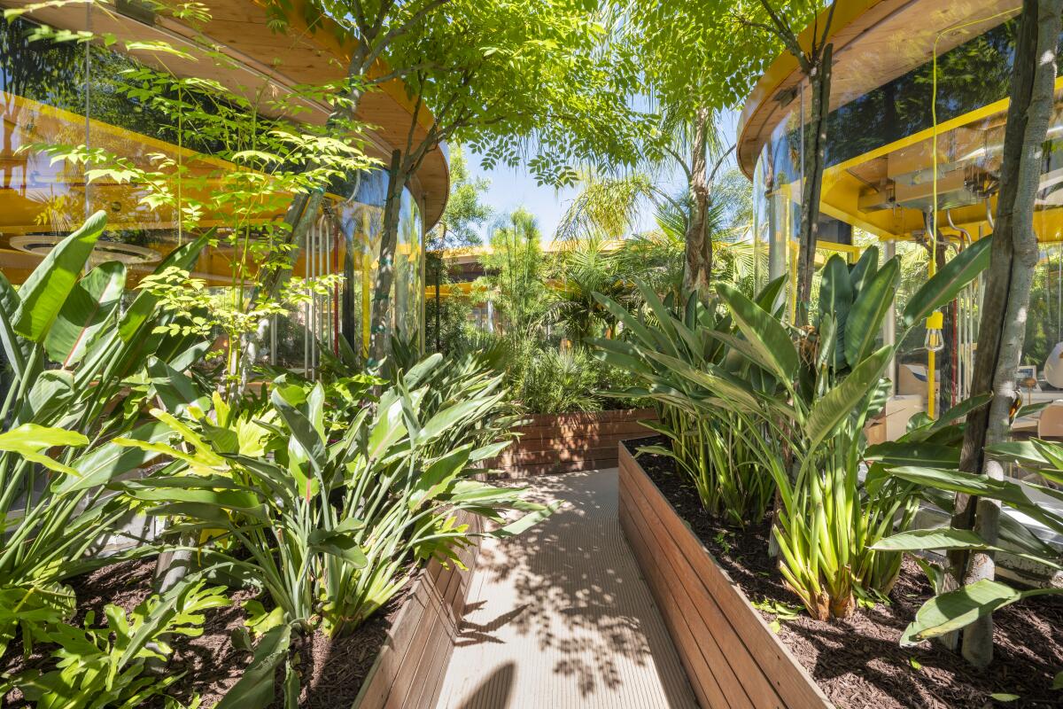 A path is shrouded in plants through which individual studios are visible.