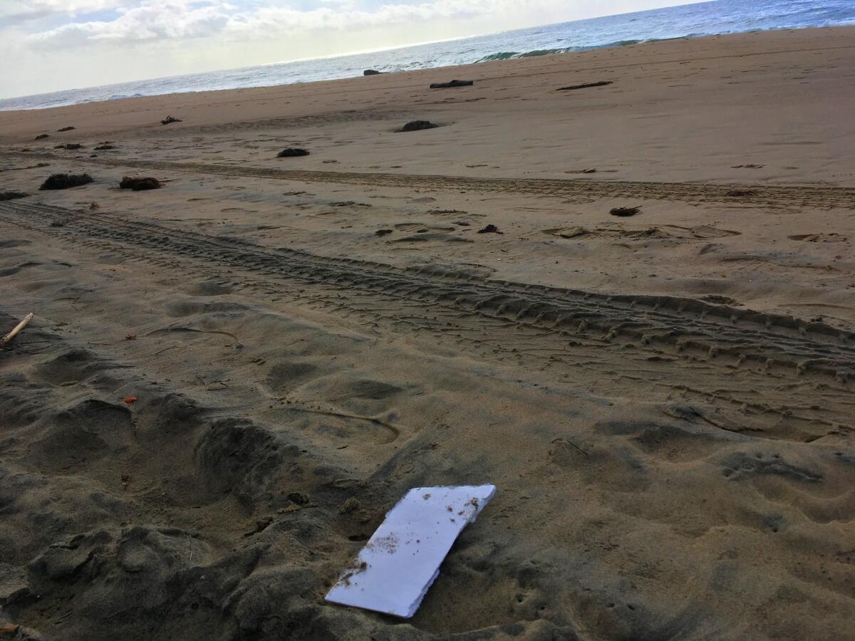 A scrap of windblown Styrofoam sits on the sand at Crystal Cove State Beach.