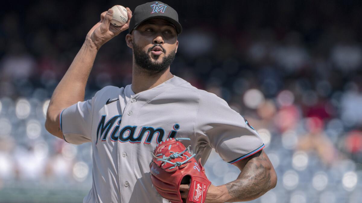 2023 Season Kickoff Auction: Sandy Alcantara Game-Used Road Jersey from 5th  Complete Game of 2022 Season - Miami Marlins vs. Washington Nationals  09/18/2022 (Win #13)