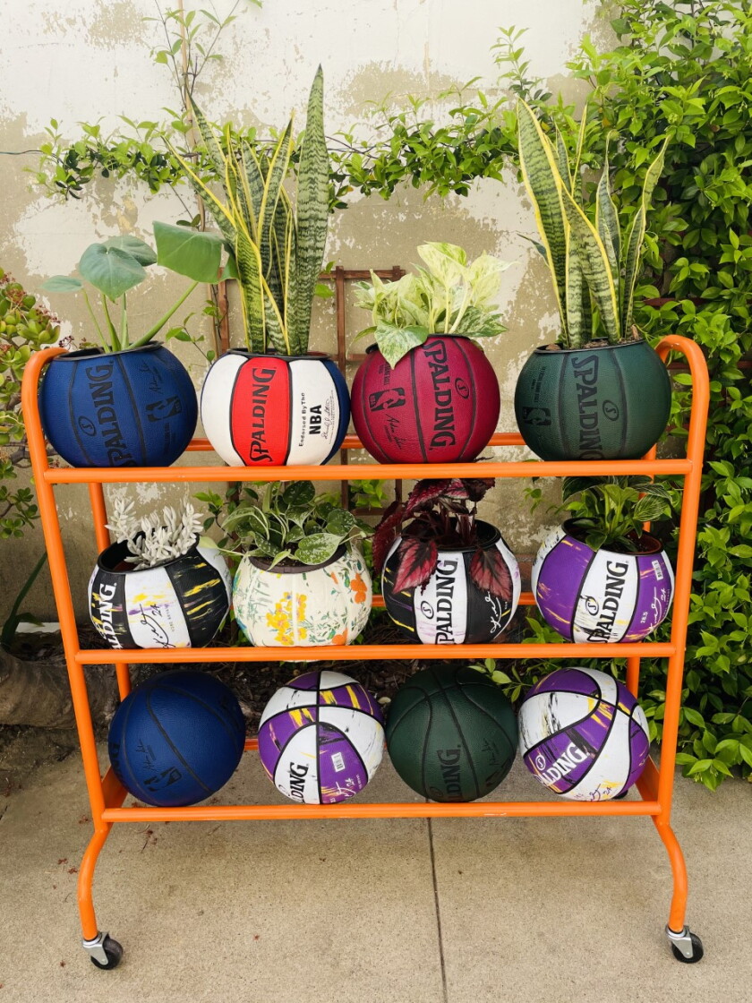 A rack holds an array of basketballs, some turned into planters, some still intact.