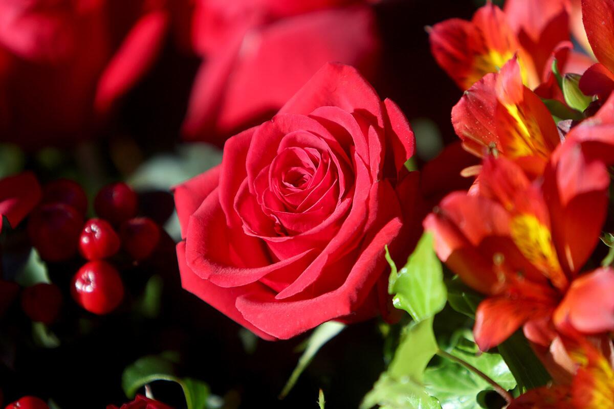 Photo Gallery: Chaka Khan named 2019 Tournament of Roses Grand Marshal