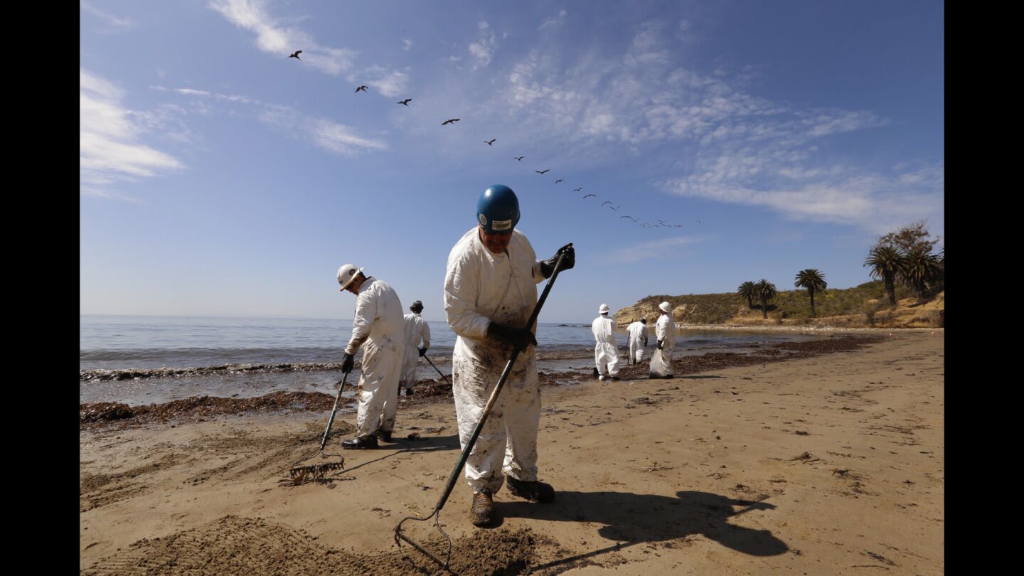 Pelicans fly ovehead as cleanup crews work at Refugio State Beach on Wednesday morning.