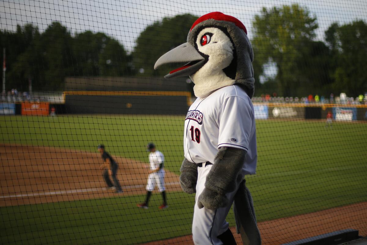 Bunker, the mascot of the Fayetteville Woodpeckers.