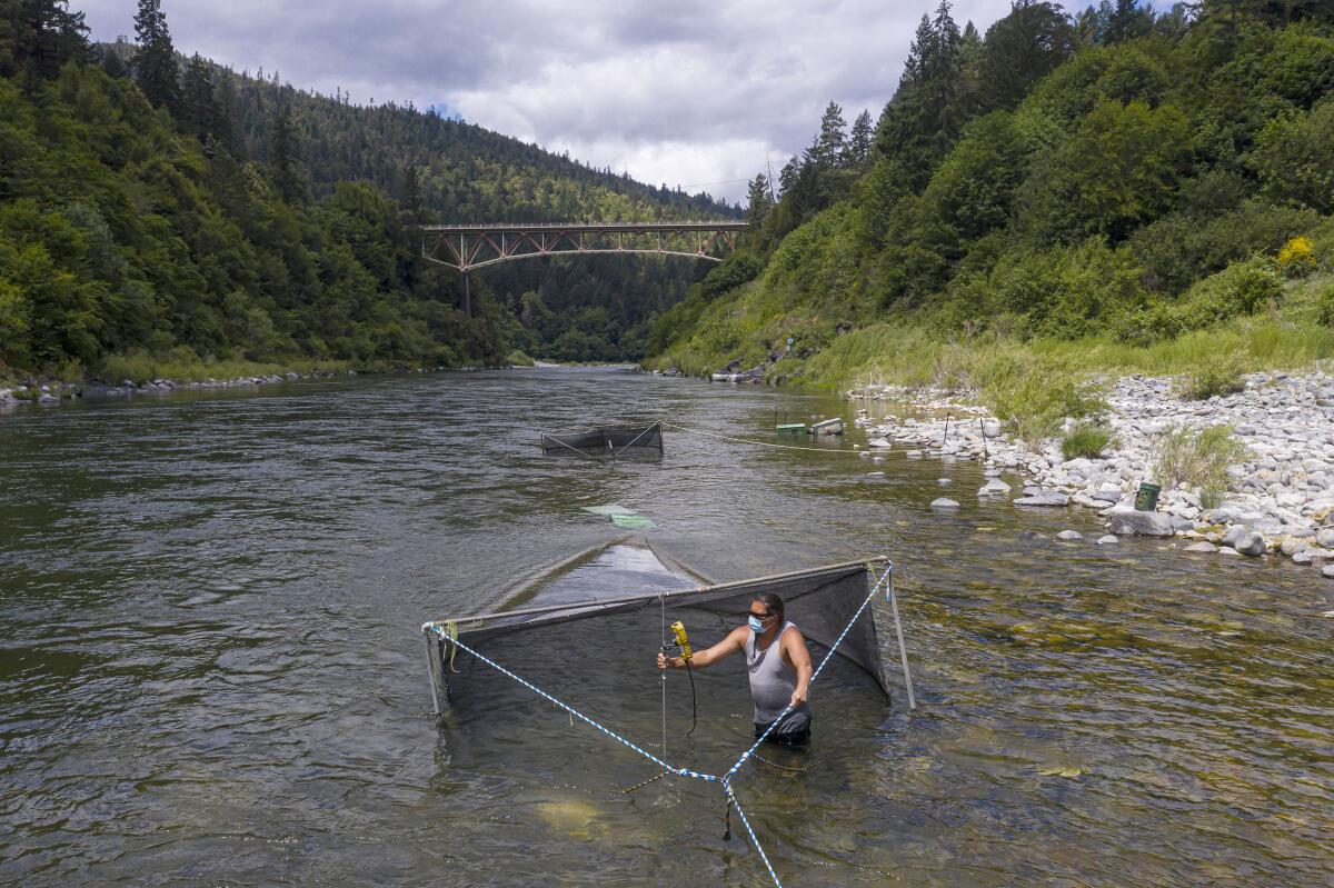 Gilbert Myers takes a water temperature reading at a chinook salmon trap in the lower Klamath River.