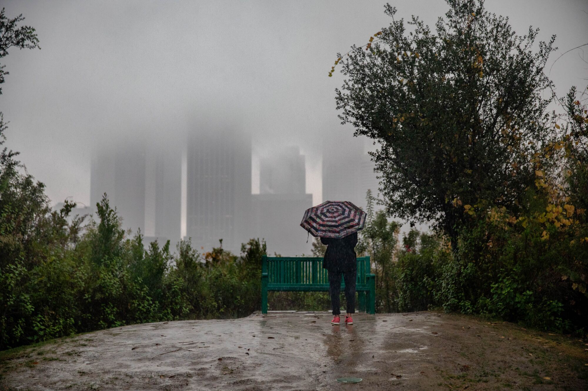 Maria Fernandez takes in the L.A. skyline on a rainy afternoon in Vista Hermosa Natural Park. 