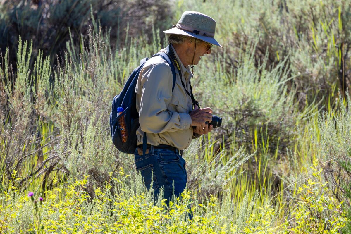 A man photographs wildflowers.