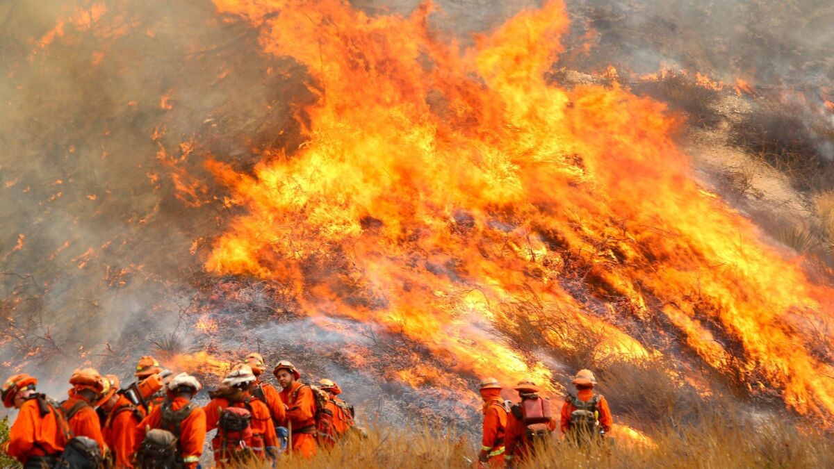 Firefighters battle the La Tuna blaze near Burbank.