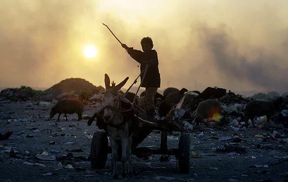 Wednesday: Day in photos - Iraq