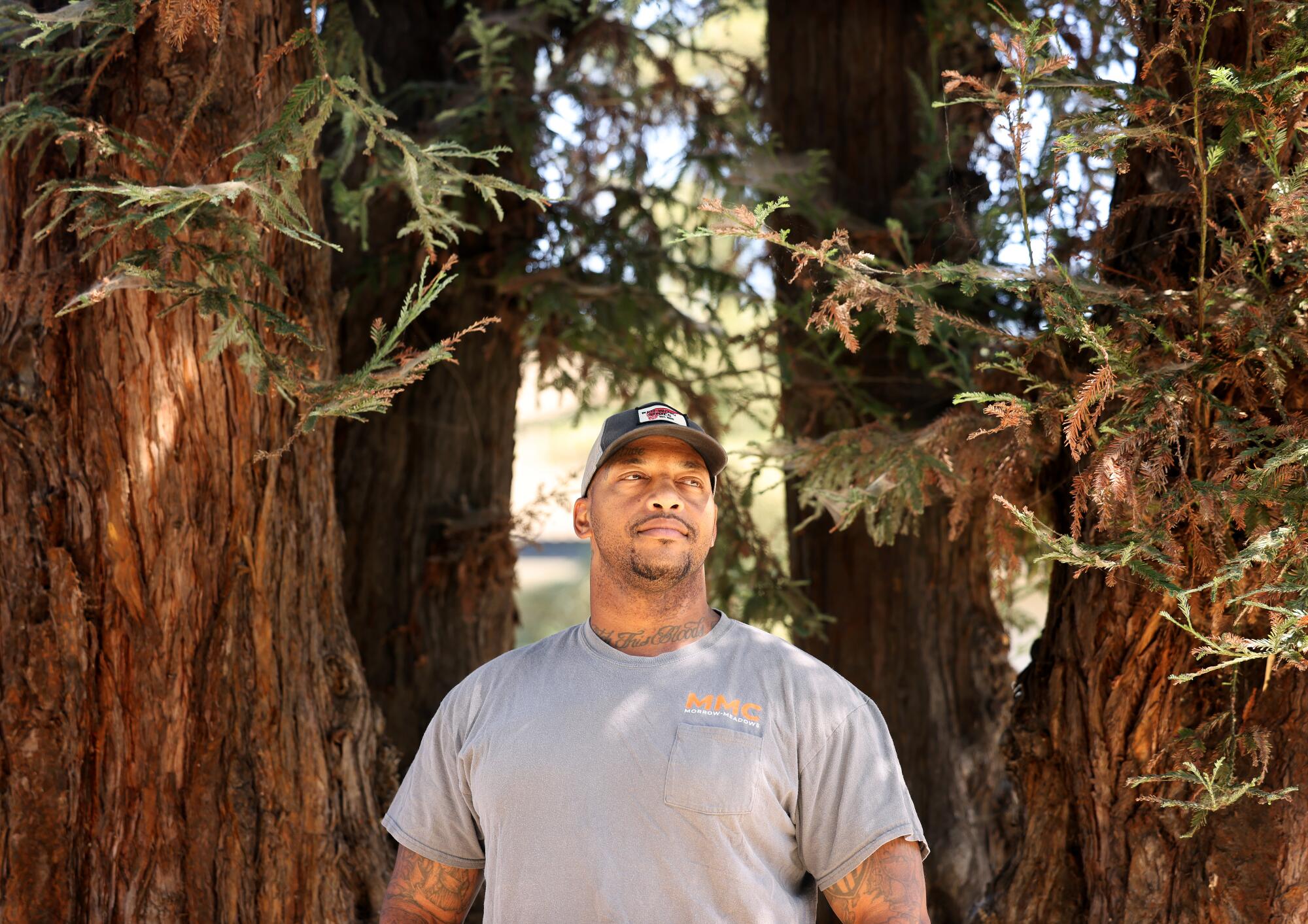  A man stands by trees.