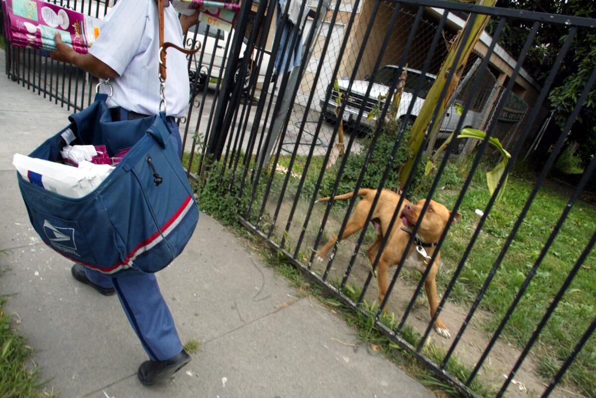 A mail carrier with a full satchel walks past a dog behind a metal fence