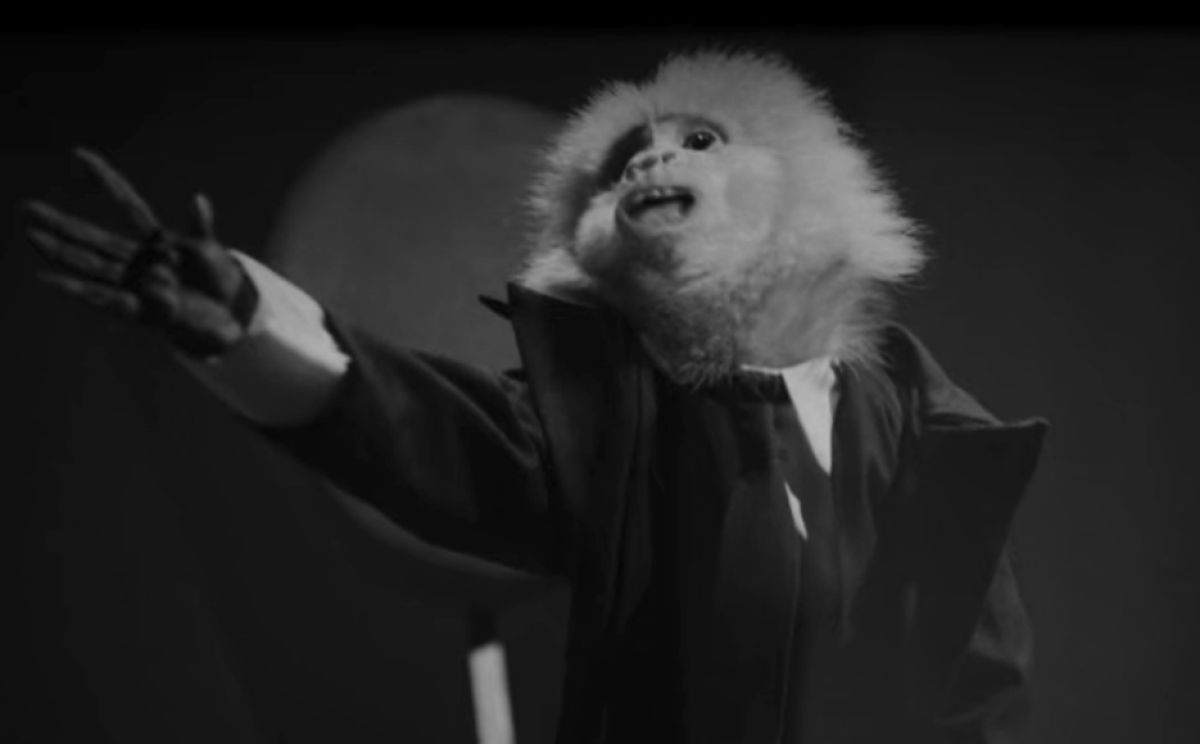 A black-and-white film still shows the Capuchin monkey who stars as Jack Cruz belting one out.