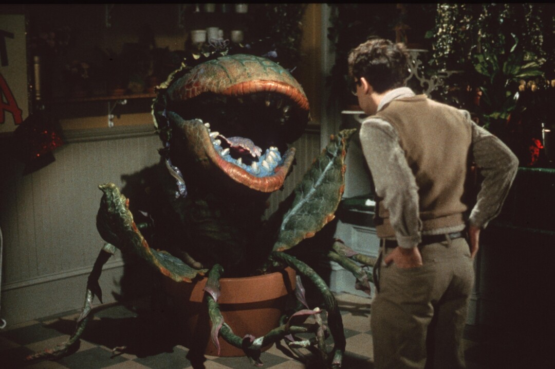 la_ca_little_shop_of_horrors_movie_61.JPG