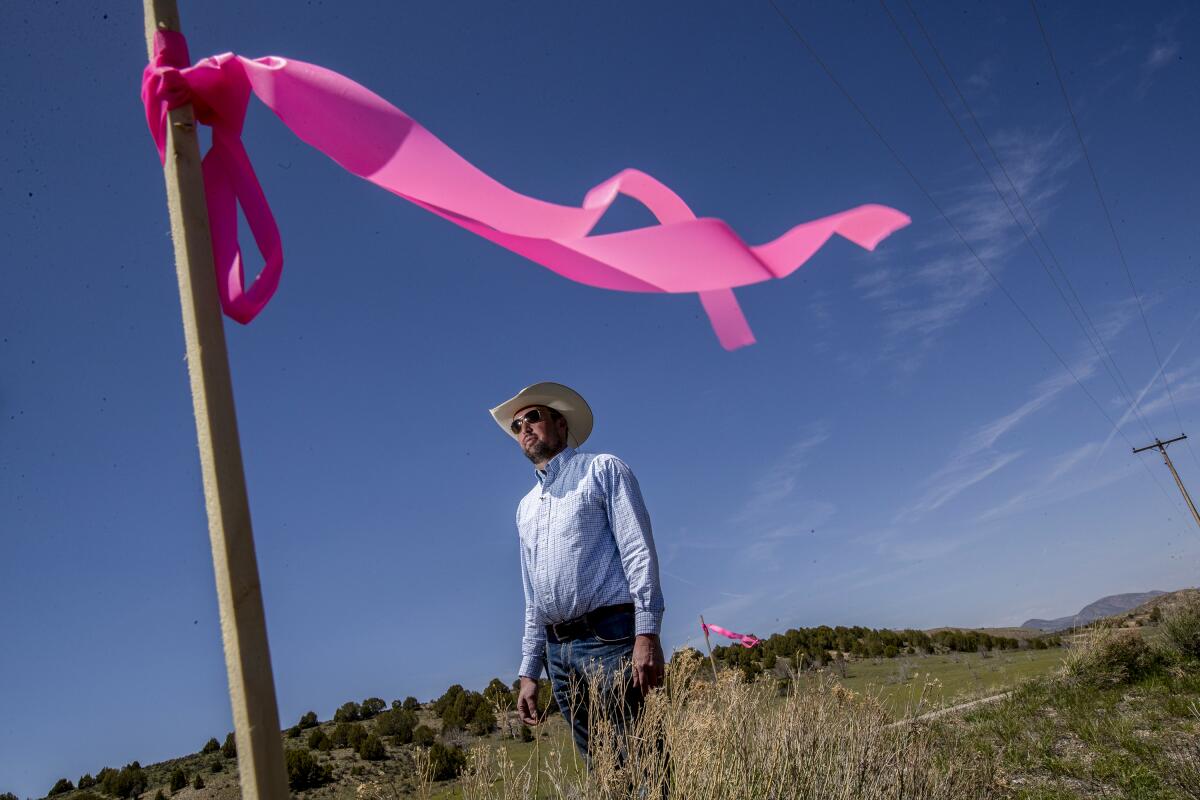 A man in a cowboy hat on rural land as the wind blows pink ribbons tied to stakes in the foreground and background.
