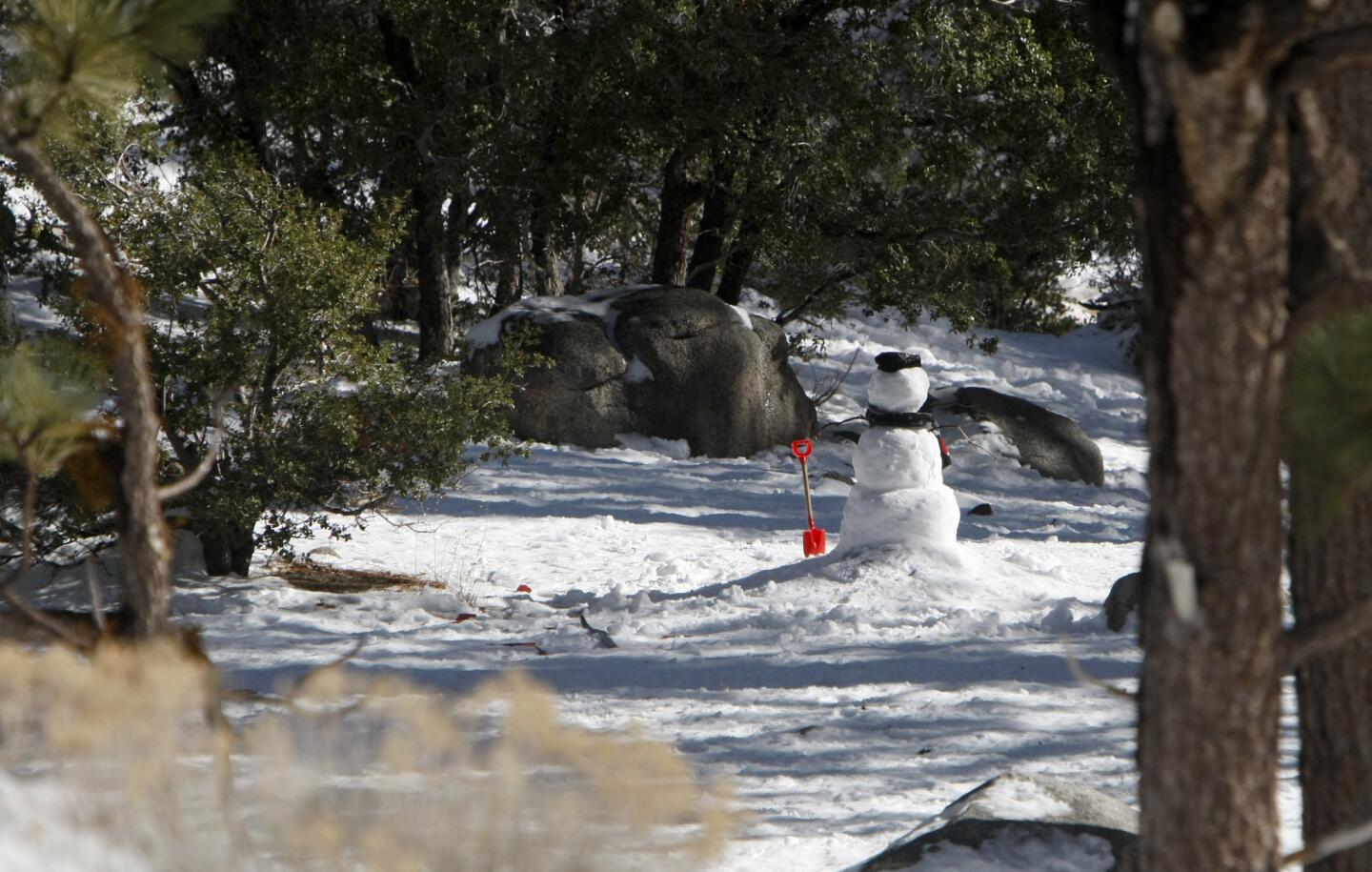 Photo Gallery: Families take advantage of first winter snow that remains in the forest above La Cañada Flintridge in the Angeles National Forest of the San Gabriel Mountains